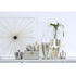Silver Crown Display